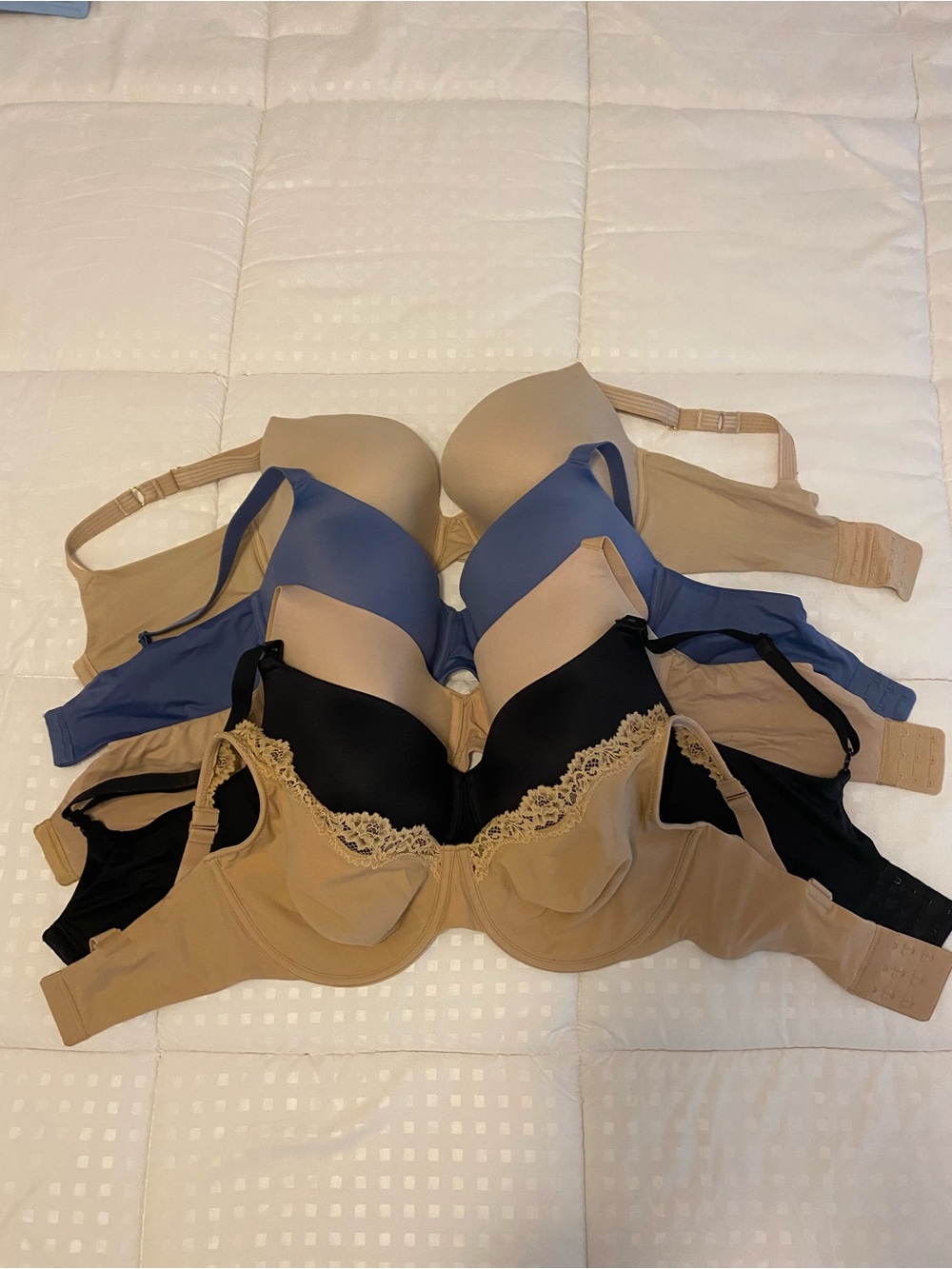 Bundle opportunity! 36DD & 36DDD